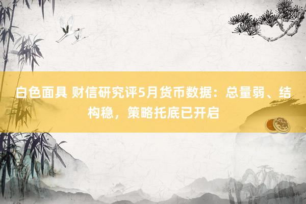 白色面具 财信研究评5月货币数据：总量弱、结构稳，策略托底已开启