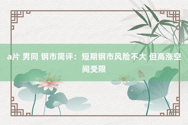 a片 男同 钢市简评：短期钢市风险不大 但高涨空间受限