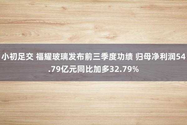 小初足交 福耀玻璃发布前三季度功绩 归母净利润54.79亿元同比加多32.79%