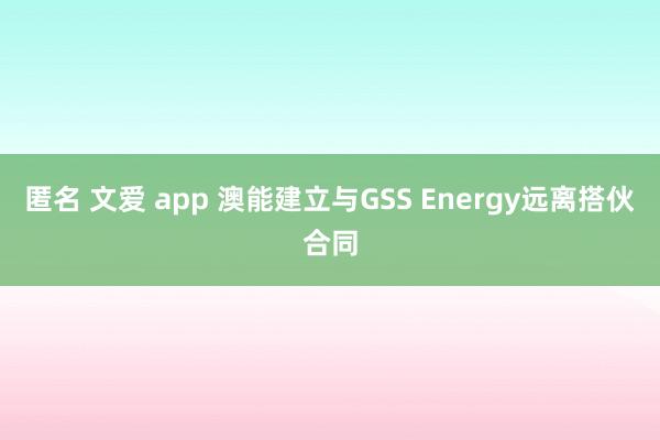 匿名 文爱 app 澳能建立与GSS Energy远离搭伙合同