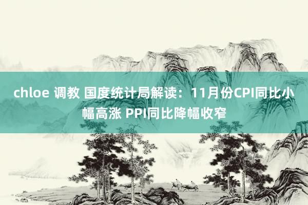 chloe 调教 国度统计局解读：11月份CPI同比小幅高涨 PPI同比降幅收窄