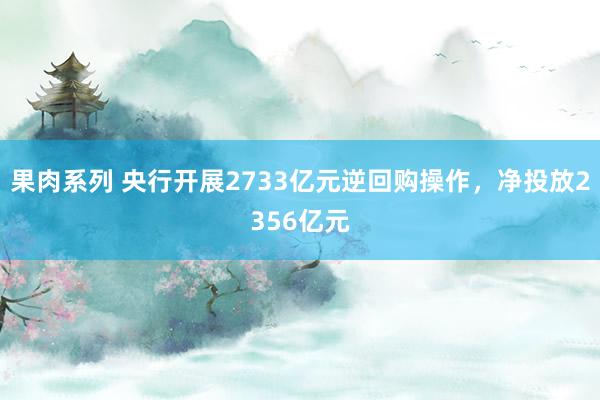 果肉系列 央行开展2733亿元逆回购操作，净投放2356亿元