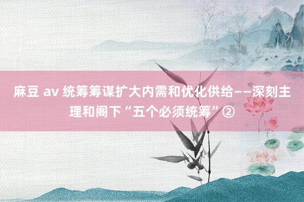 麻豆 av 统筹筹谋扩大内需和优化供给——深刻主理和阁下“五个必须统筹”②
